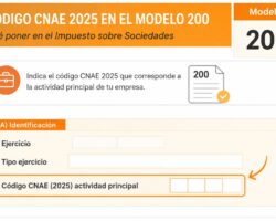 CNAE 2025 Impuesto de sociedades