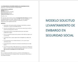 Modelo de solicitud de levantamiento de embargo a la Seguridad Social (INSS / TGSS) captura-modelo-solicitud-levantamiento-embargo-ss