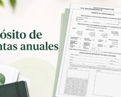 Depósito de cuentas anuales 2025: plazo en 2026, documentos y cómo presentarlas Depósito de cuentas anuales en el Registro Mercantil con formulario de presentación y documentos contables